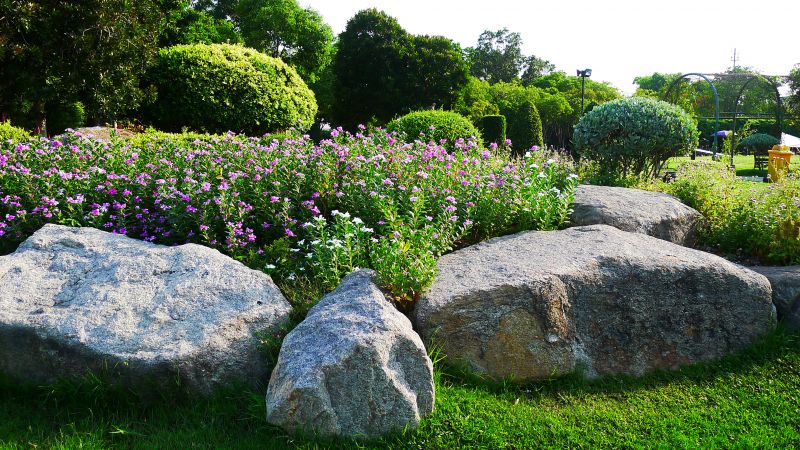 Rock Landscape Design in Honolulu, HI